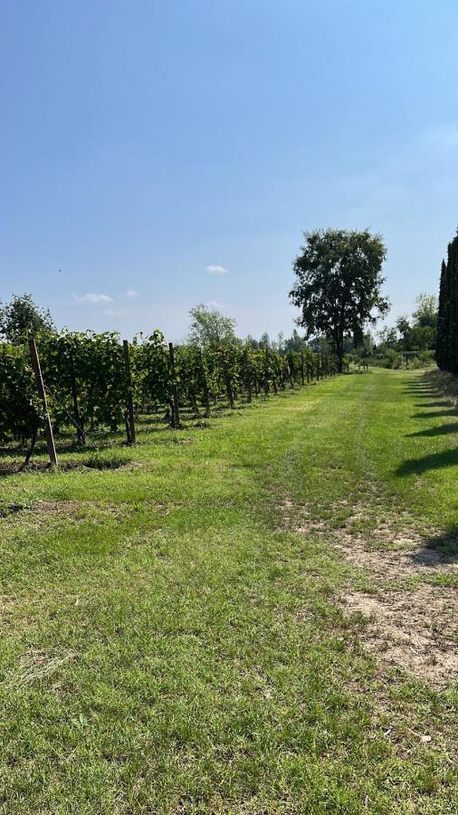 Gabriele Country House Desenzano del Garda Kültér fotó